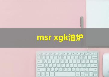 msr xgk油炉